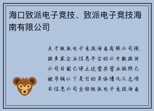 海口致派电子竞技、致派电子竞技海南有限公司