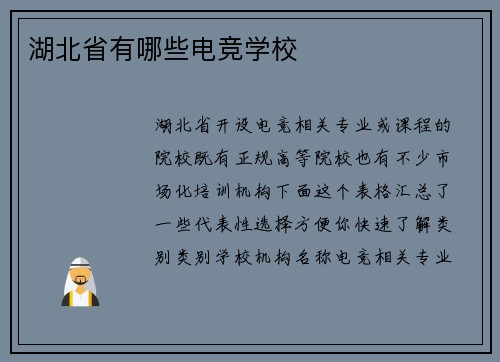 湖北省有哪些电竞学校